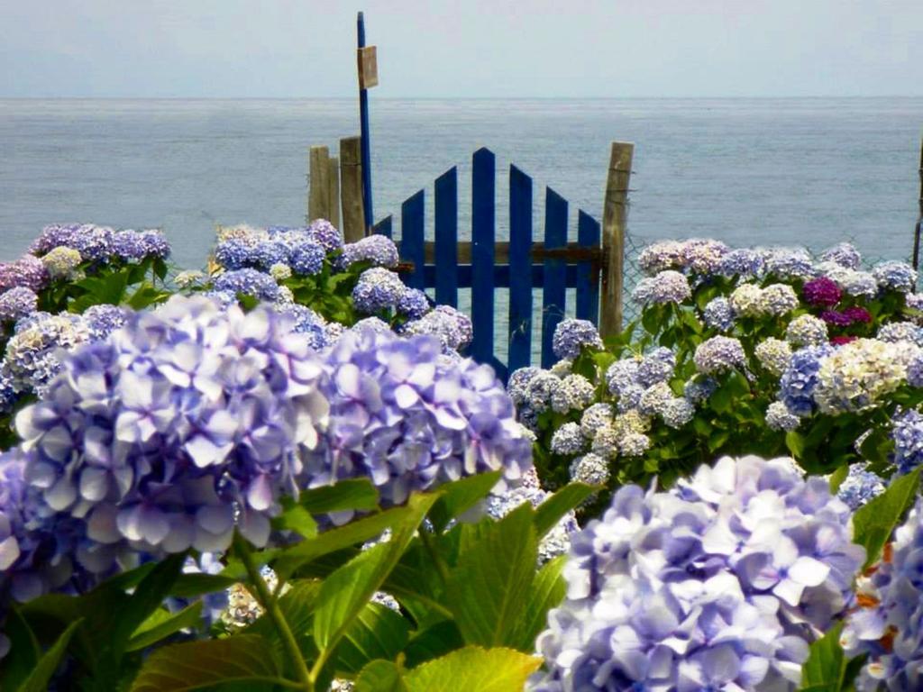 Archondissa Beach Aparthotel Терма Екстер'єр фото